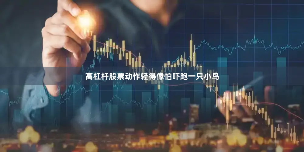 高杠杆股票动作轻得像怕吓跑一只小鸟