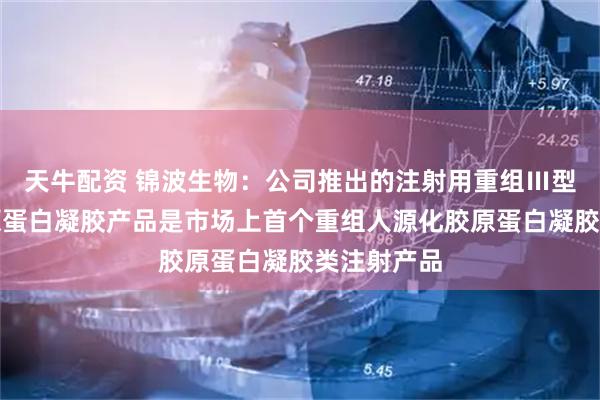 天牛配资 锦波生物：公司推出的注射用重组Ⅲ型人源化胶原蛋白凝胶产品是市场上首个重组人源化胶原蛋白凝胶类注射产品