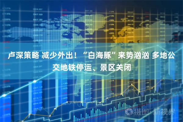 卢深策略 减少外出！“白海豚”来势汹汹 多地公交地铁停运、景区关闭